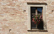 Fiori alla finestra
