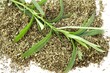 tarragon plant and dry herb