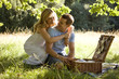 A young couple having a picnic, embracing