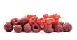 Ribes e Lamponi