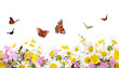 flowers and butterflies