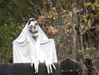Halloween Decoration