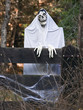 Halloween Decorationvvv