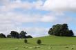 Rural Countryside Midlands Rural Countryside Midlands