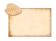 Card with shell