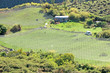 culture de la vigne sous filets, cirque de Cilaos, Réunion culture de la vigne sous filets, cirque de Cilaos, Réunion