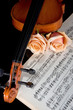 Violin Violin