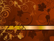 Vite oro Vite oro