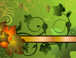vite fondo verde vite fondo verde