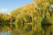 autumnal scene, bank of small lake