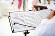 Violin player performing a serenade