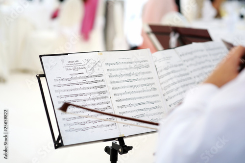 Photo: Violin player performing a serenade Violin player performing a serenade