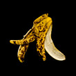 Banana skin