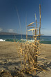 Corsica, mare e natura