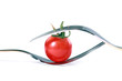 Red tomato