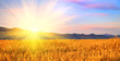 Sunrise in the field. Russia, Altai