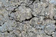 Concrete with heavy cracks and moth Concrete with heavy cracks and moth