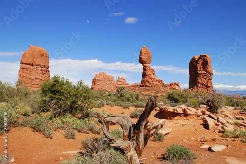 Photo: Arches Arches