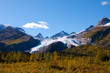 Worthington Glacier Alaska