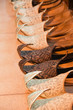 Oriental shoes