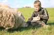 Boy adn sheeps