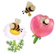 vector cartoon bumblebees