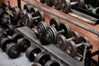 Collection of barbells