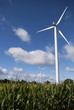 Eolienne et champs