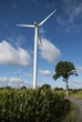 Eolienne sur route 2