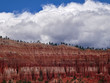 Bryce Canyon