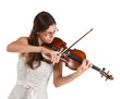 Professional violinist