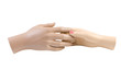 Touch of female and male mannequin hands | Isolated