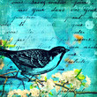 un oiseau sur la branche