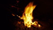 Bonfire burning brightly - Heat - Light - Camping