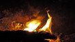 Bonfire burning brightly - Heat - Light - Camping
