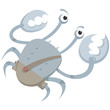 crab crab