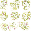 Wine grapes floral ornament