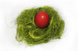 Osternest