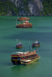 Tourist Junks in Halong Bay, Vietnam. Tourist Junks in Halong Bay, Vietnam.