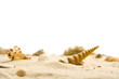 Muscheln am Strand