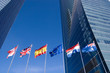 International Flags