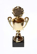 Pokal