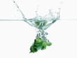 Frosch Wasser 2