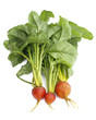 Golden Beets