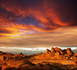 Gobi