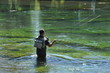 pêcheur a la mouche