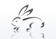 animal Silhouette of rabbit
