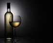 Still-life with the wine glass Still-life with the wine glass