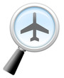 Magnifying Glass Icon "Air Travel"