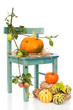 Halloween Pumpkin Chair With Spiders